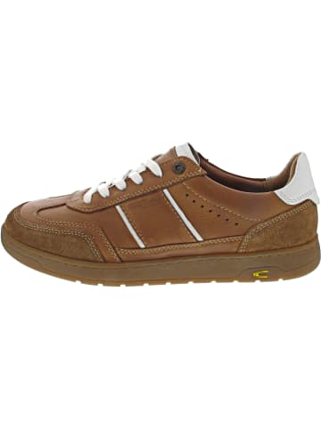 Camel Active Sneaker low Braun