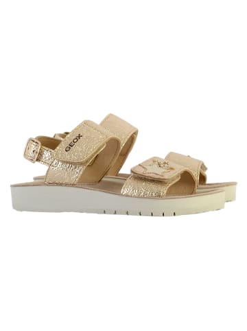 Geox Costarei Kindersandale aus Leder Gold