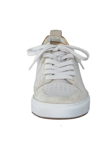 Paul Green Sneaker für Damen in beige