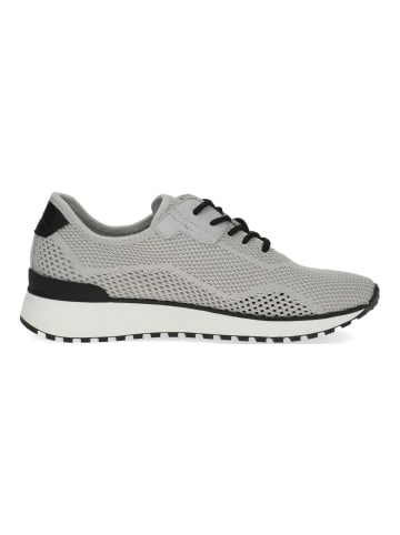 Caprice Sneaker in Grau