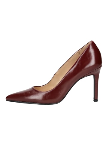 Steve Madden Pumps in Cherry
