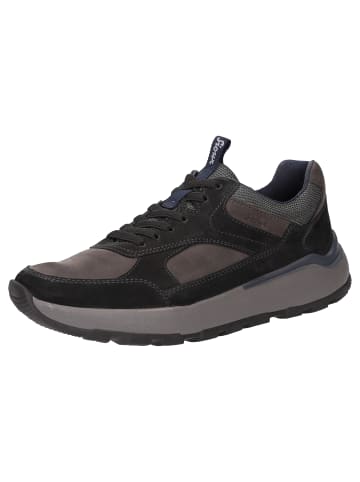 Sioux Sneaker Rogerlino-700-H in grau