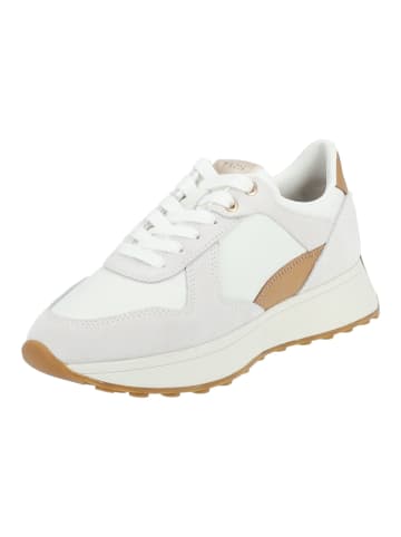 Geox Sneaker in Weiß/Beige