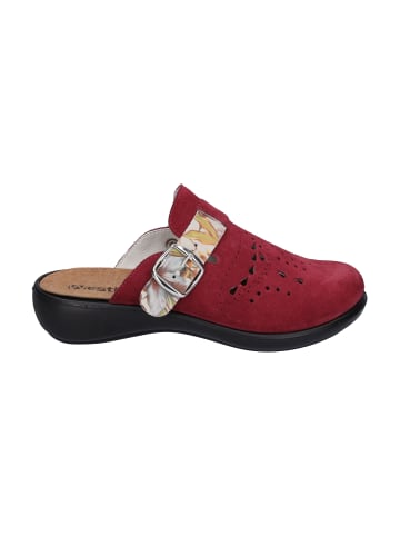 WESTLAND Clog Korsika 345 in fuchsia