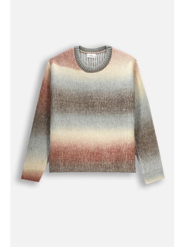 Coccodrillo Strickpullover in bunt