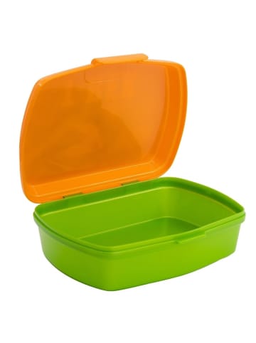 COFI 1453 T-REX Kinder Brotdose – Lunchbox Pausenbox Schulbrotbox in Grün