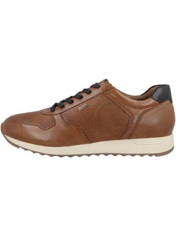 s.Oliver BLACK LABEL Sneaker low 5-13629-41 in braun