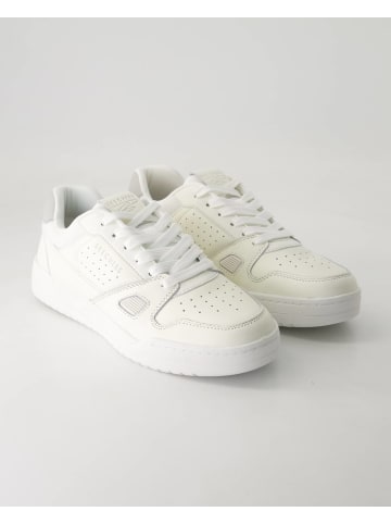 Skechers Sneaker low in Weiß