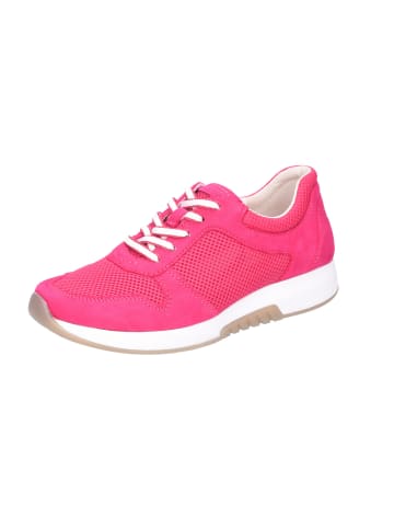 Gabor Sneaker Low in fuchsia