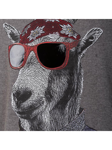 Almgwand Oisbergalm in Anthrazit