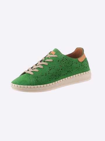 Gemini Schnürschuh in grün