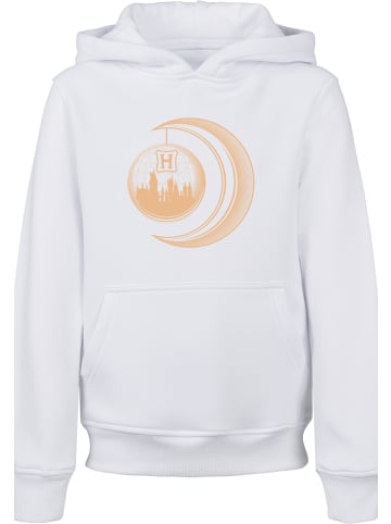 F4NT4STIC Hoodie in white