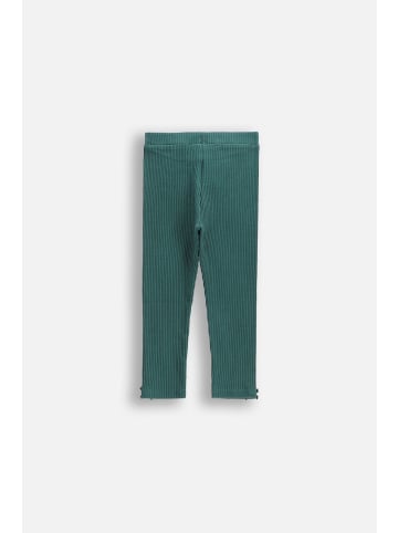 Coccodrillo Gerippte Leggings mit langem Hosenbein in grün