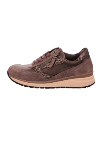 Gabor Sneaker Low in taupe