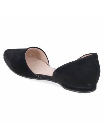 Apple of Eden Ballerina in black