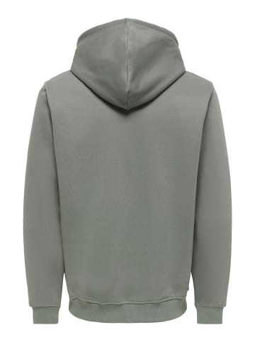 ONLY & SONS Kapuzenpullover in Castor Gray