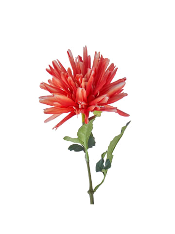 Butlers Kunstblume FLORISTA Dahlie in Apricot