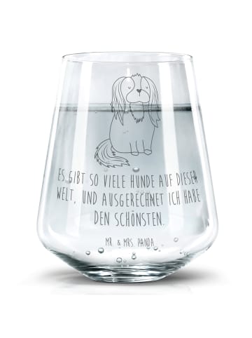 Mr. & Mrs. Panda Trinkglas Hund Cavalier King Charles Spaniel mi... in Transparent