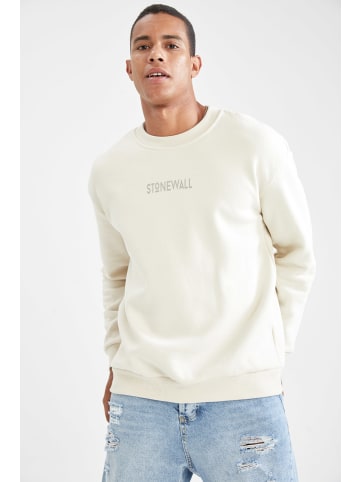 DeFacto Sweatshirt BOXY FIT in Stein