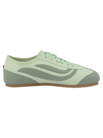 GENESIS Sneaker low G-Moto Monocolour in gruen