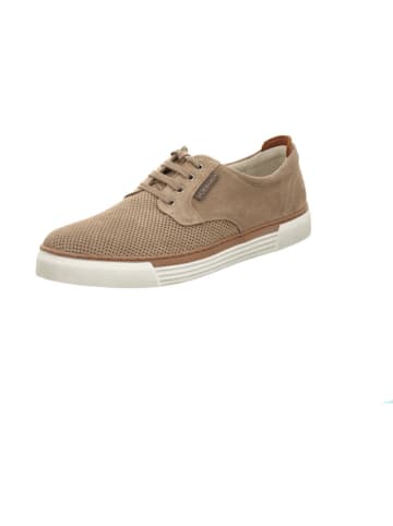 Pius Gabor Schnürschuh in braun