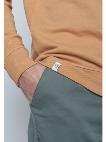 GreenBomb Sweatshirt Animal Bearland in Haselnuss