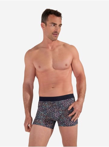 HOM Retro Boxer Boxer Briefs Vineyard in navy print