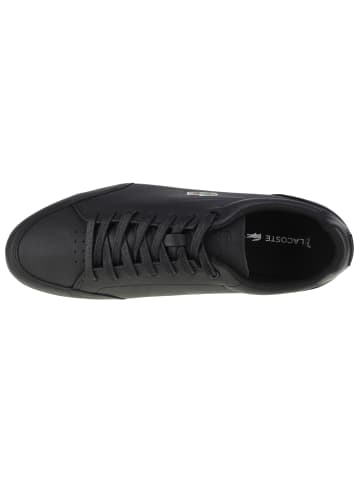 Lacoste Lacoste Chaymon Crafted 07221 in Schwarz