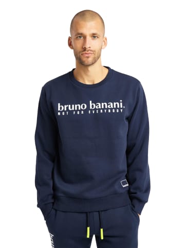 Bruno Banani Sweater KING in Navy