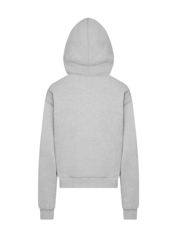 Mister Tee Mister Tee Kapuzenpullover in grey