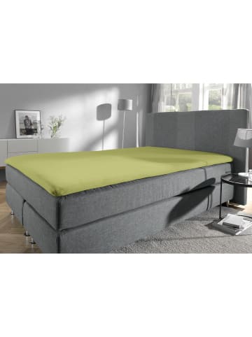 Erwin Müller Single-Jersey Topper-Spannbettlaken Freising in lindgrün