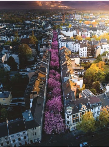 Ravensburger Ravensburger Puzzle 1.500 Teile Blühendes Bonn in bunt