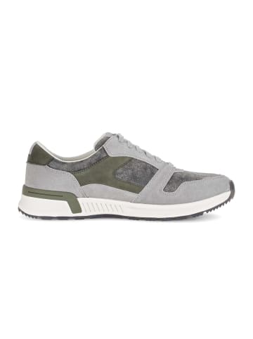 Gabor Sneaker low in grau