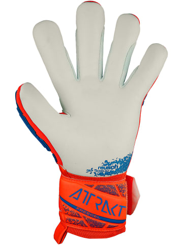 Reusch Torwarthandschuhe Attrakt Freegel Silver in 2210 hyper orng/elec blue