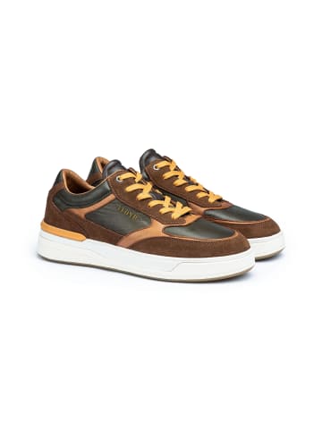 LLOYD Sneaker EGILO in BRAUN