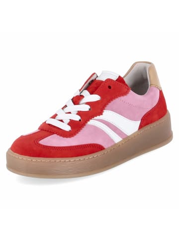 Gabor Low Sneaker in rosa