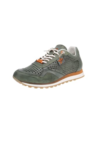 Cetti Sneaker low C-848 EXP in Grün