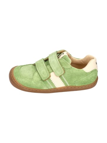 KOEL Sneaker Low BALI SUEDE 3.0 in braun