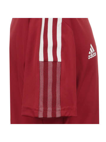 adidas Performance Trainingsshirt Tiro 21 in rot / weiß