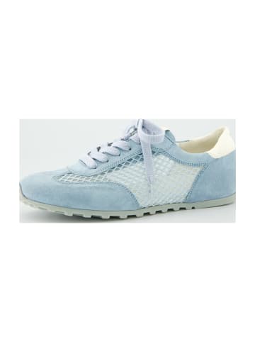 Paul Green Sportliche Schnürschuhe in Blau