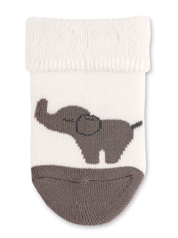 Sterntaler Baby-Socken Eddy, 2er-Pack in ecru