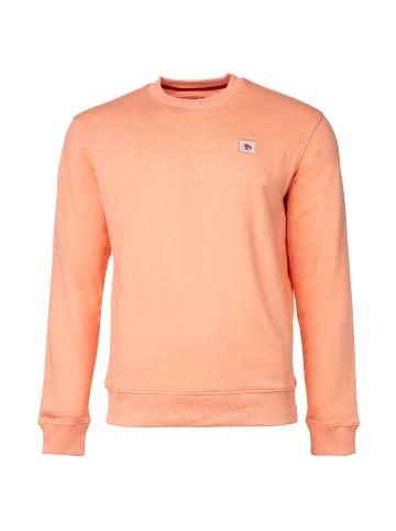 Scotch & Soda Sweatshirt in Koralle