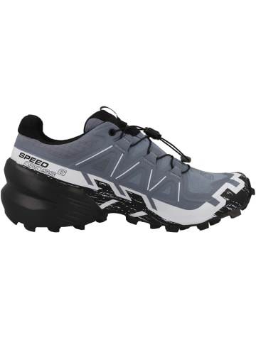 SALOMON Laufschuhe Speedcross 6 GTX in grau