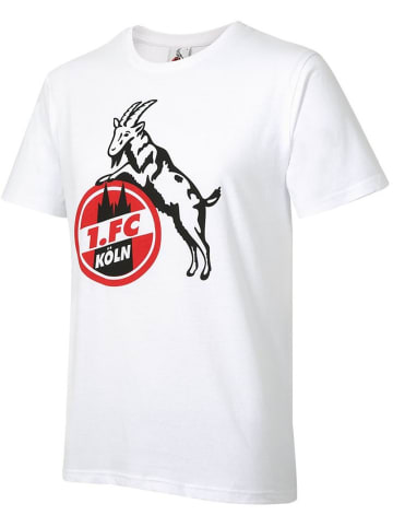 Fußballverein 1. FC Köln T-Shirt "T-Shirt 'Basic weiß'" in Rot