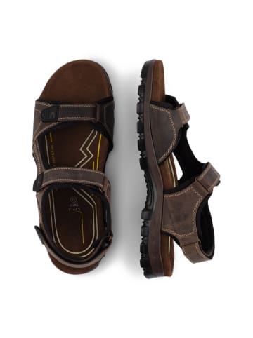 Camel Active Sandalen aus perforiertem Leder in Braun