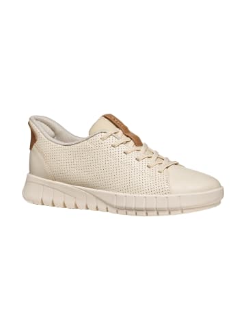 Geox Ledersneaker Flextride Plus Beige