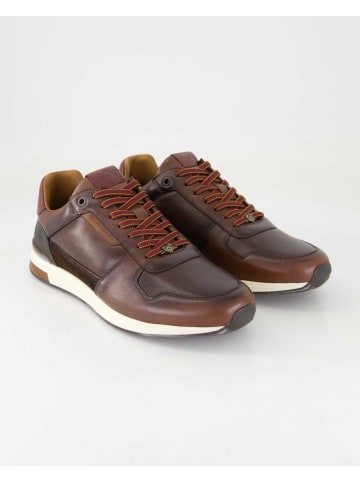 Ambitious Sneaker low in Braun