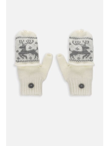 Coccodrillo Handschuhe in bunt