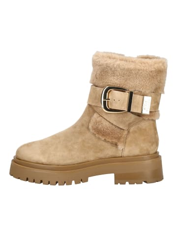 Steve Madden Stiefelette in Tan
