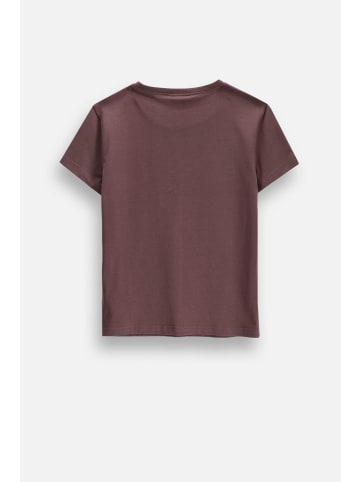 Coccodrillo T-shirt mit kurzen Ärmeln in braun